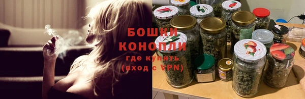 стаф Волосово